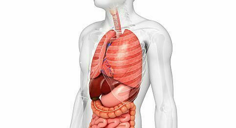 B-Module 1: Gastrologie – Pneumologie – Cardiologie