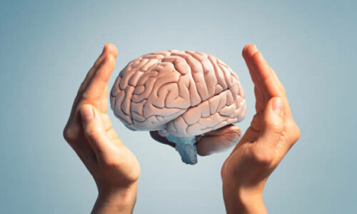 E-Module 4: Entraînez-vous