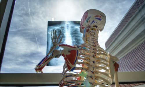 D-Module 3: Traumatologie – Orthopédie – Rhumatologie